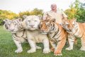   Where is Yogaville, Doc Antle’s former home on Tiger King?    Fri 10 December 2021 18:19    Helen Williams    